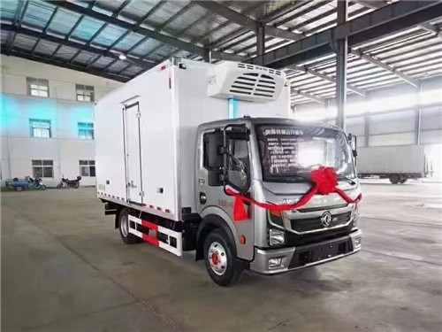國(guó)六東風(fēng)凱普特K6星云冷藏車